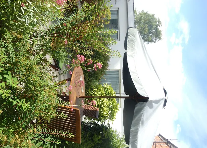 Pensión Egans House Dublín